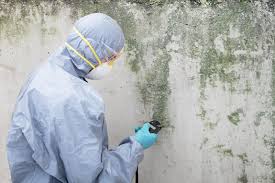 Best Commercial Mold Inspection in USA